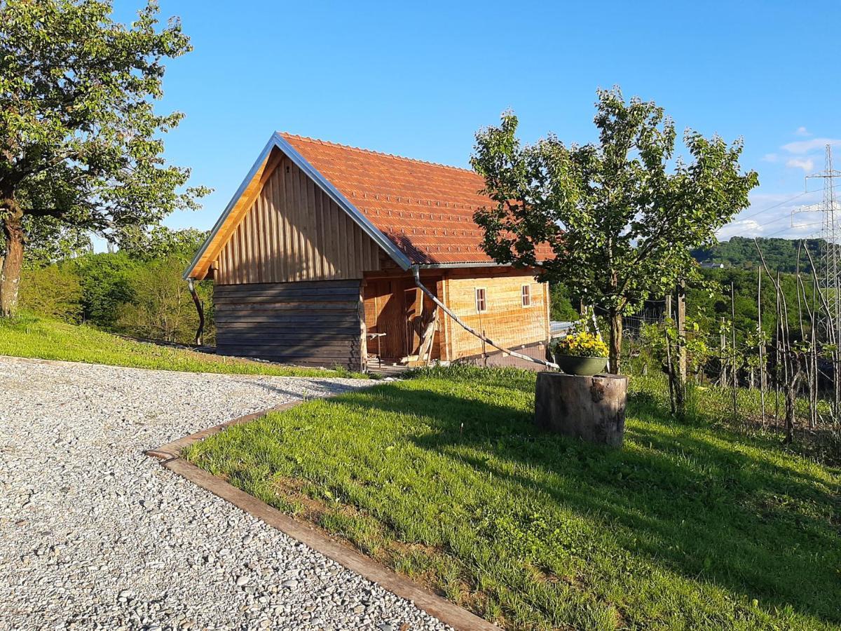 Rooms & Wine Lilek Sentilj Exterior photo